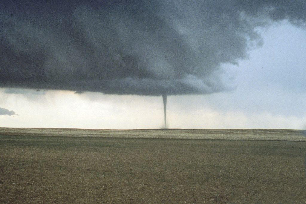 Image by Andrew Seaman